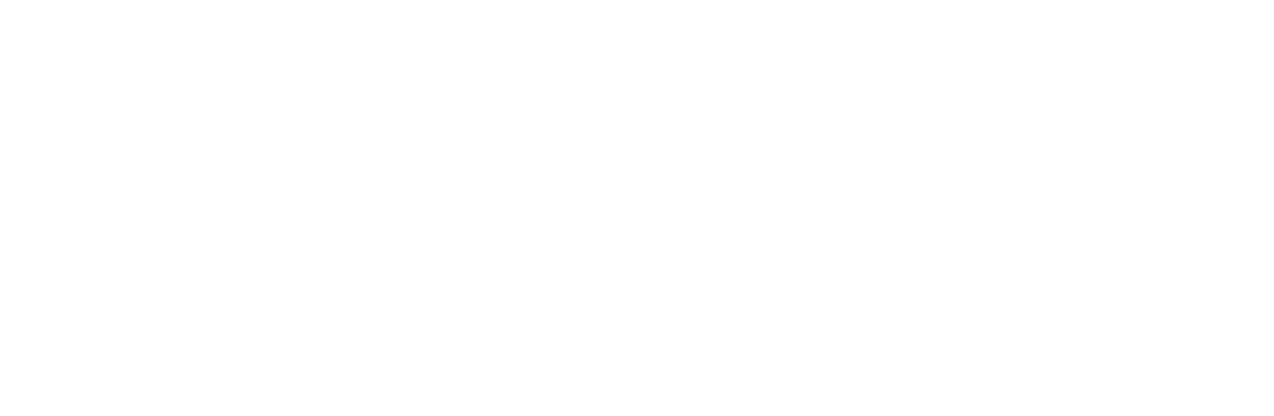 Stride logo